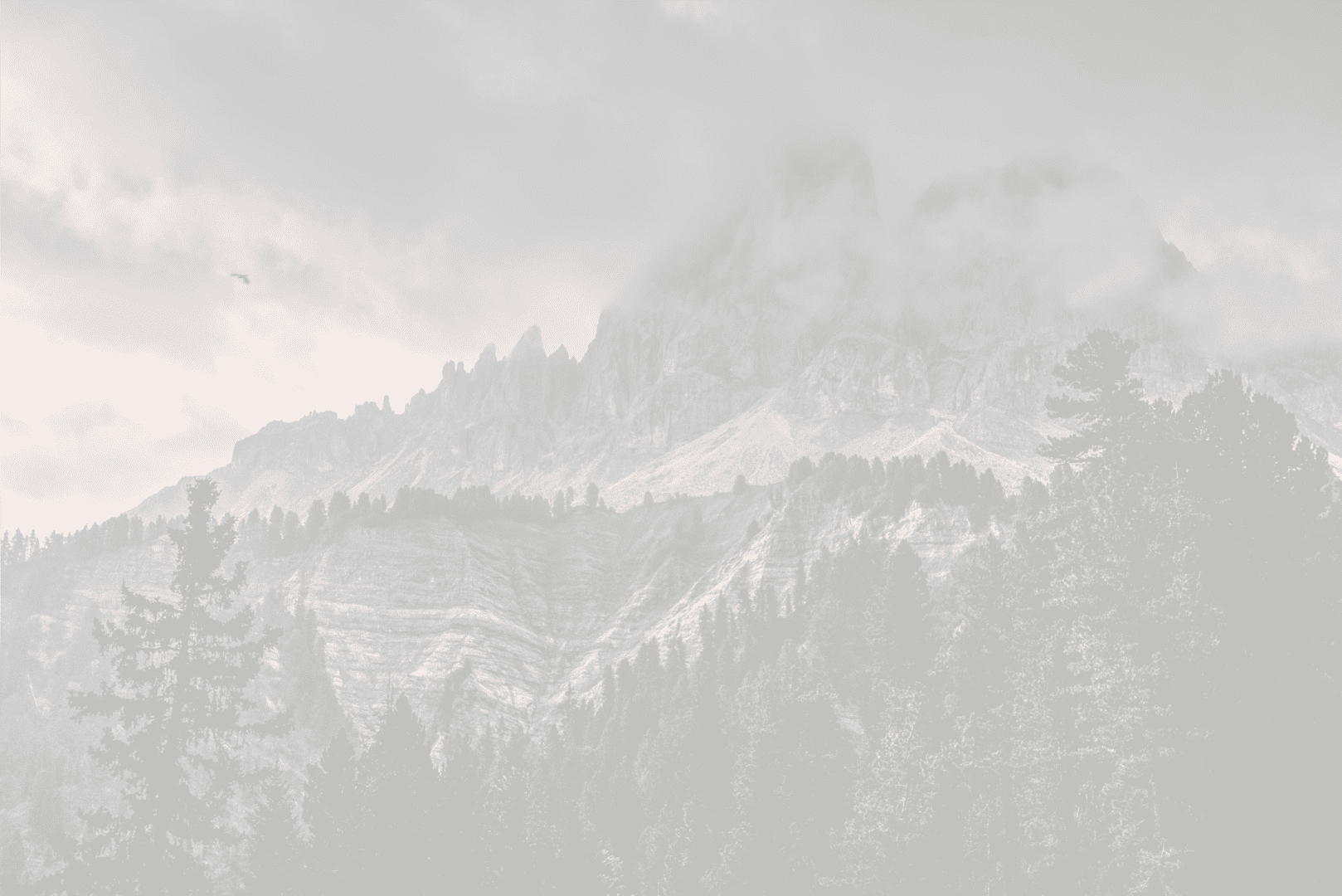bg-slider1